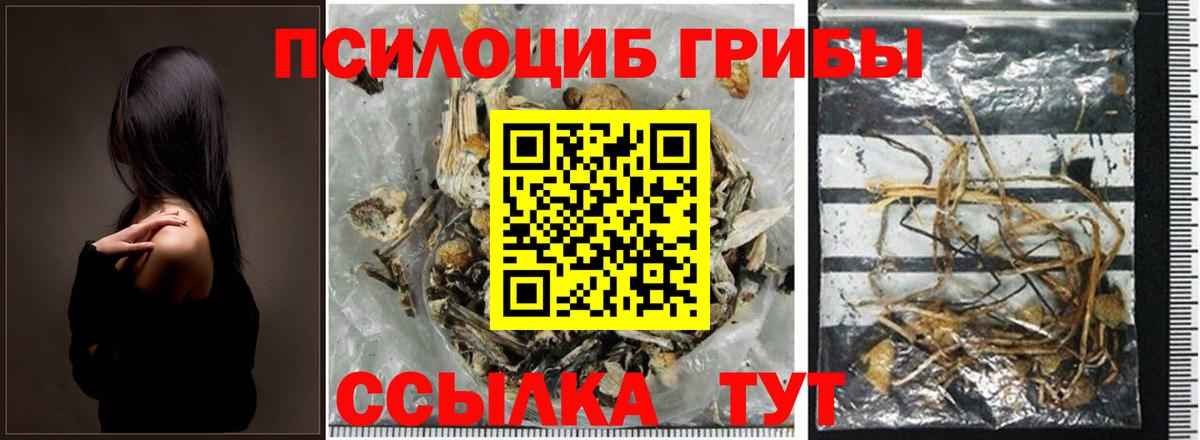 Галлюциногенные грибы GOLDEN TEACHER  Вход с VPN  Карачаевск 