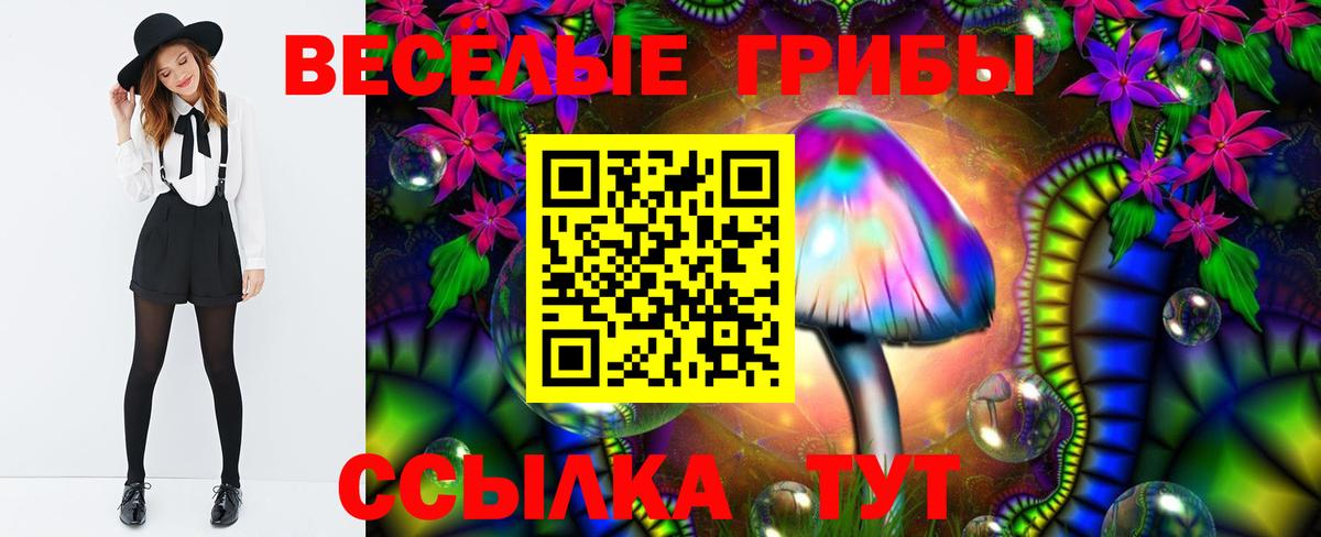 Псилоцибиновые грибы GOLDEN TEACHER Карачаевск